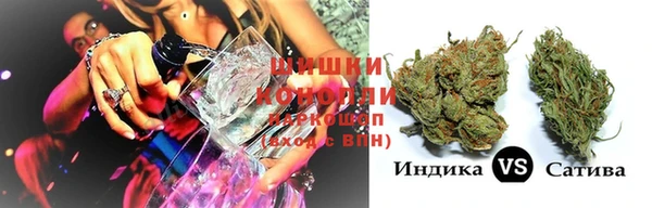 гашик Гусев