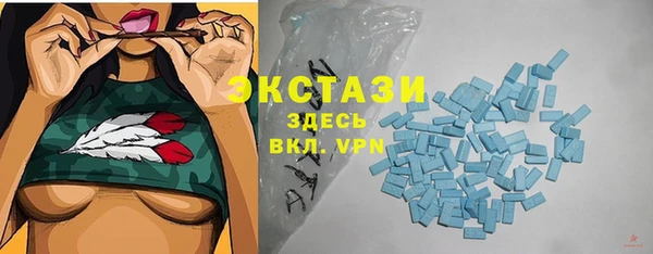 гашик Гусев