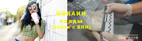 гашик Гусев