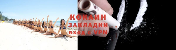 apvp Дмитриев