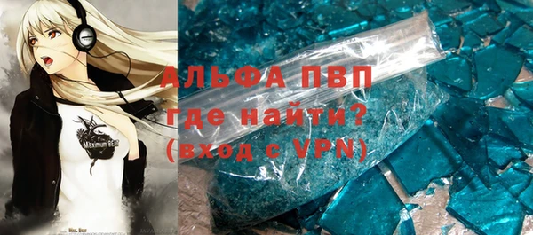 гашик Гусев